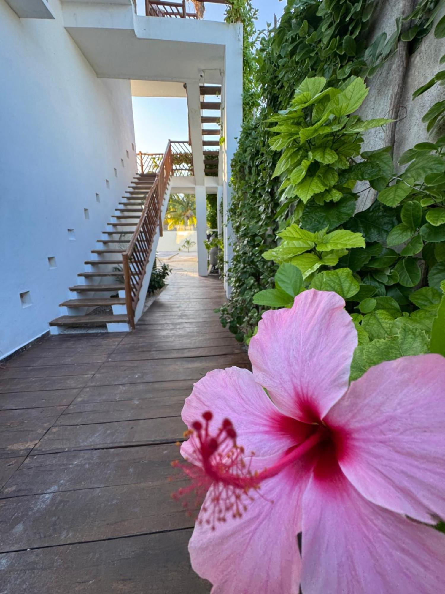 Mexhe Hotel エル・コージョ エクステリア 写真