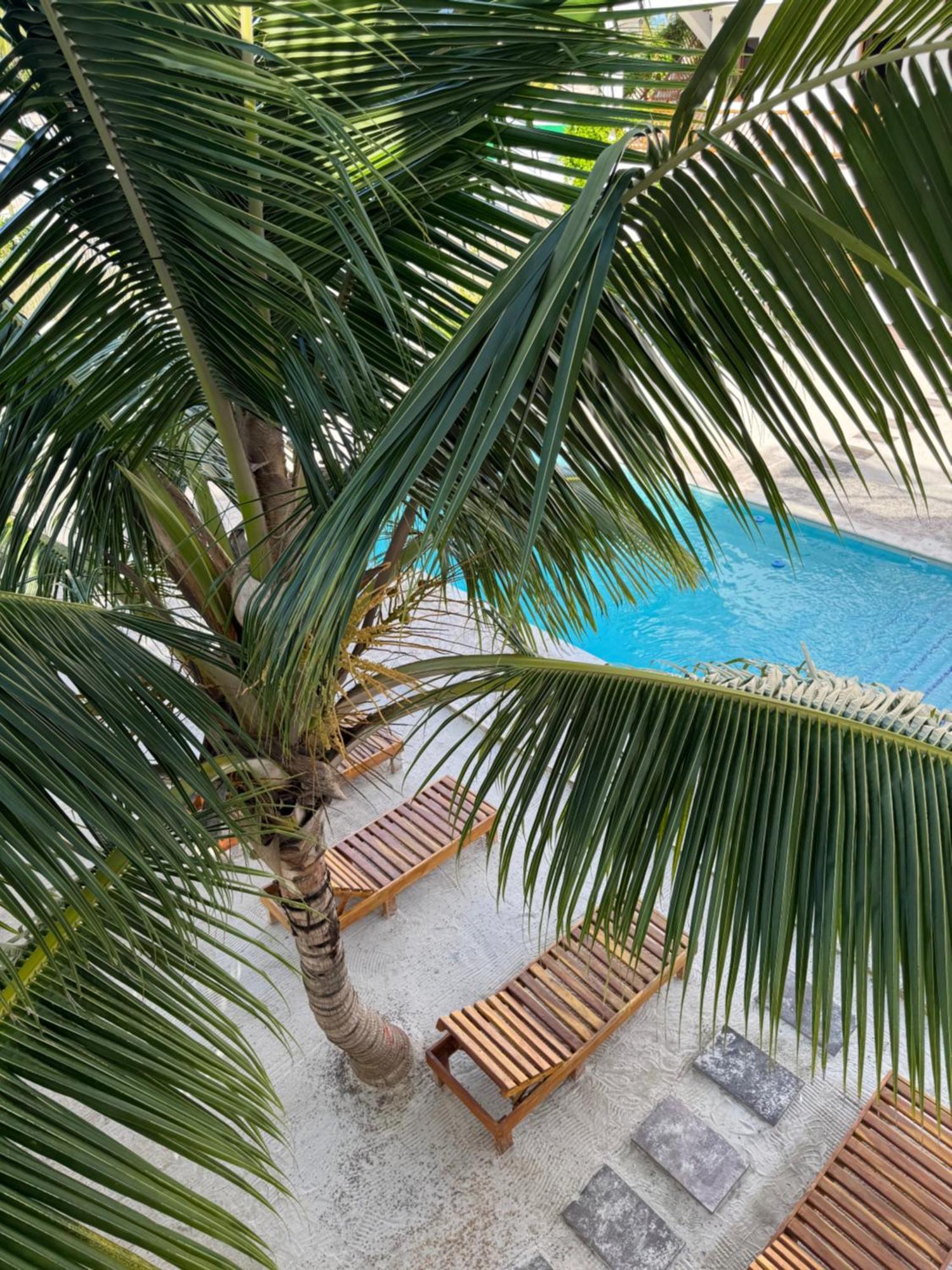 Mexhe Hotel エル・コージョ エクステリア 写真